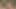 Altılı paket Arjantinli erkek herkesin içinde boşalıyor