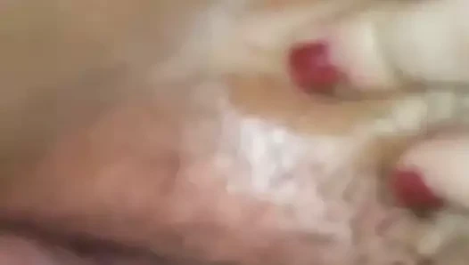 KEDİ Siktir et yakın çekim