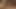Avrasyalı kızlar böyle mi görünüyor, bu kadar seksi olmayı yasaklıyor mu?