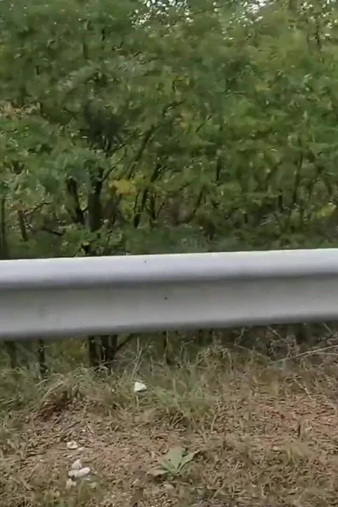 Ateşli Gina Gerson ile açık havada seks