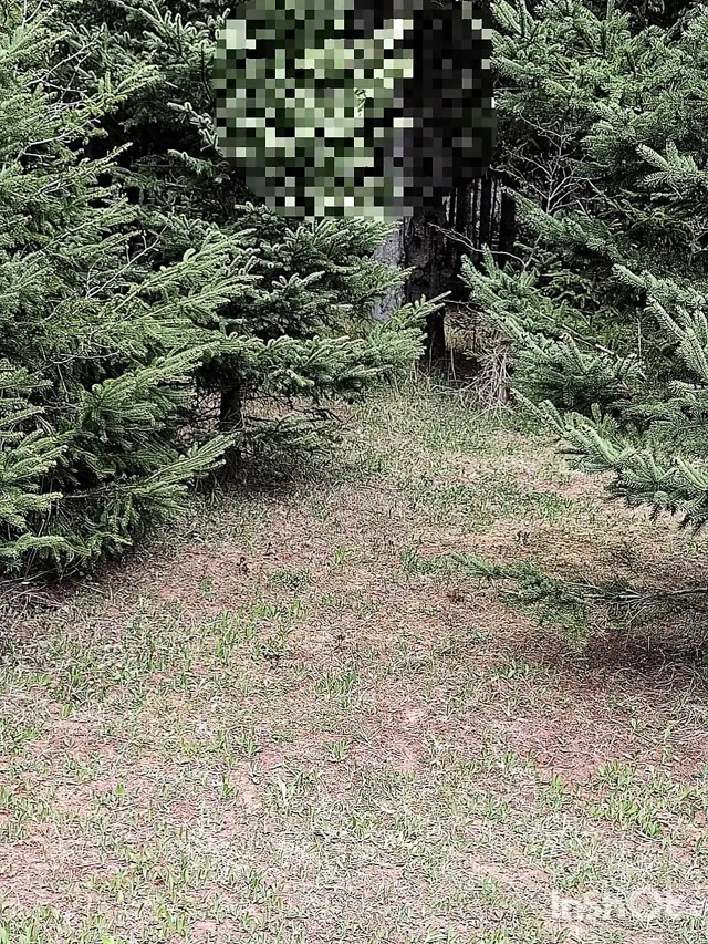 Çıplak sürtük açık havada güneşin tadını çıkarıyor ve harika bir solo döl alıyor