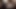 bbc kızdırdığı hanımları KEDİ