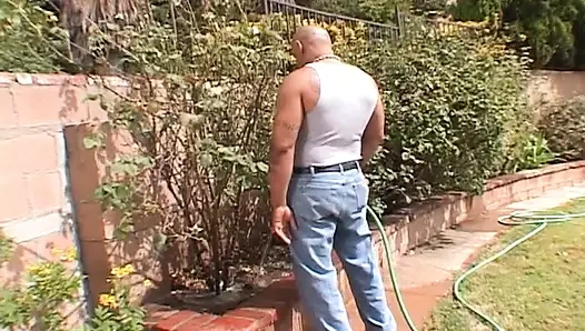 Çeşitli sanatçılar - abanoz ponpon kızlar 01