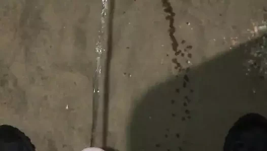 Sadece benim horoz pissing üzerinde the beach