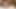 Onu kedi her zaman bu kadar büyük bir horoz için hazır