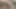 Belden bağlamalı dildoyla sikilmek çok mu havalı?