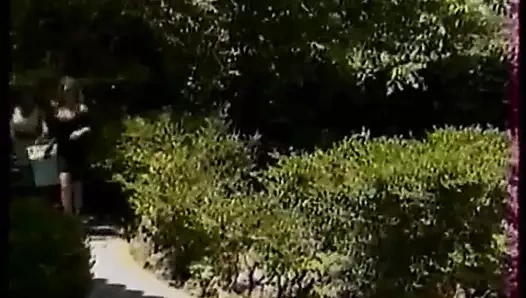 Bush pilotları (1990)