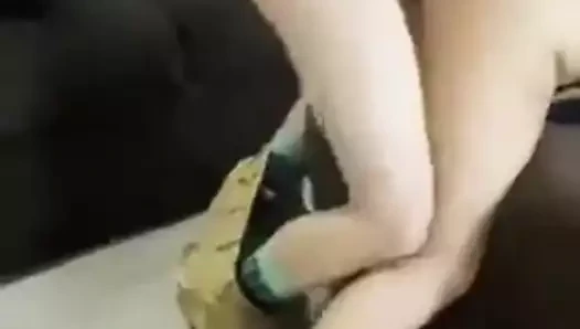 Otelde eşim dolfan, hawraa ve dilshad ile