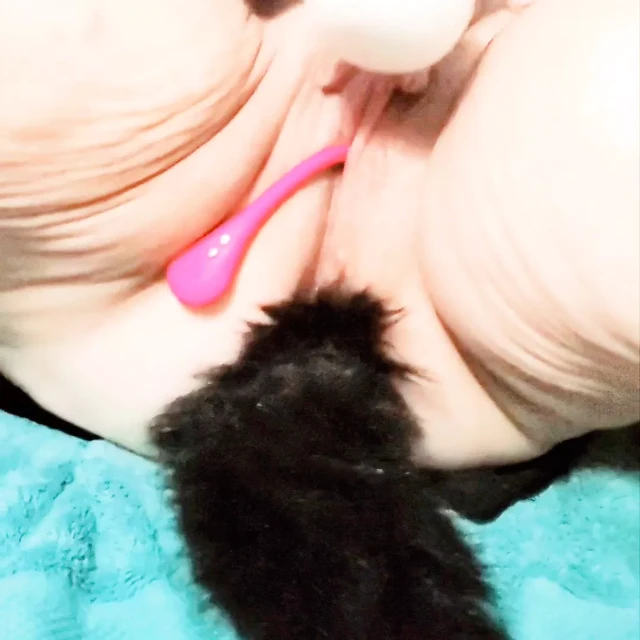 Bbw güzel milf ile kitten tail buttplug ve lush3 yayılır kedi ve hitachi ile çalış