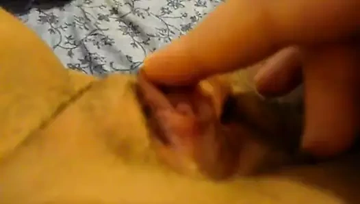 Büyük kedi kapatmak