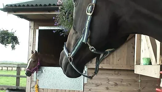 İngiliz iri güzel kadın yıldızı eski partneri tarafından sikiliyor