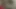 Bu daireyi dekore etmeden önce kaydettiğim son video))) Gerçekten korkunç bir video görmeye hazır mısın?))))