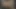 Büyük göğüslü ve büyük garajlı zenci sürtük Monet Staxxx amına yarak almak için
