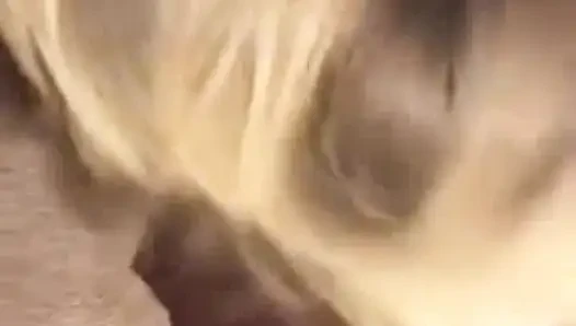 Aldatılan orta yaşlı seksi kadın - aldatan evli kadın