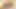 Nicole aniston, onu kedi güçlerinin çükünü sert hale getirdiğinden emin olur