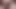 Cum üzerinde kedi eylem için güzel anka kuşu marie