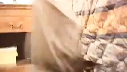 Büyük popo busty mama ve bbc içinde otel odasında