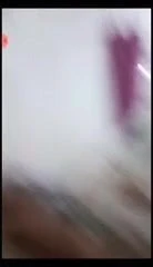 Tunuslu at oynama ile onun horoz