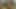 She just wants to missionary that and feel my hairy pussy
