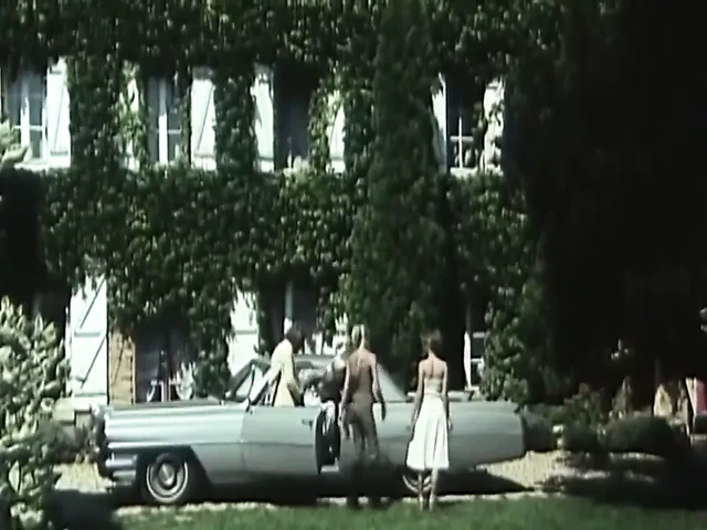 Pornographie Suedoise (1976)