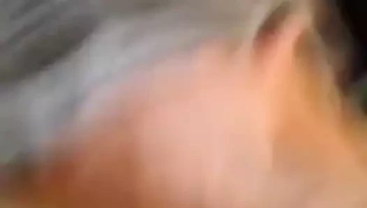 Sikim üzerinde sıkı İsveçli kedi!