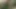 Kız arkadaşımın fışkırtmadan önce parkta amına mastürbasyon yaparken izliyorum
