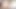 Ladyboy am 4 seksi tavşan dövmek