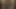 güzel ırklararası kahrolası