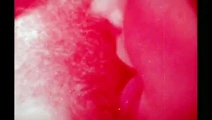 bağbozumu - süper 8