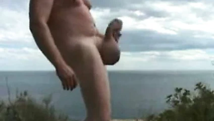 Plajda gösterilen pompalı horoz