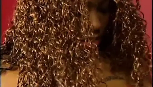 Siyah damızlık kâkül bir siyah bebek sert sonra yalama ona kedi