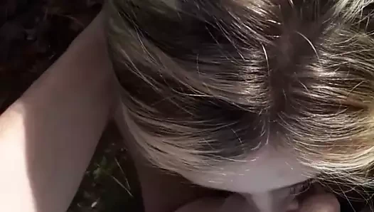 yabancı berbat ve kırlangıçlar içinde kamu park