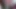 Flowersex786
