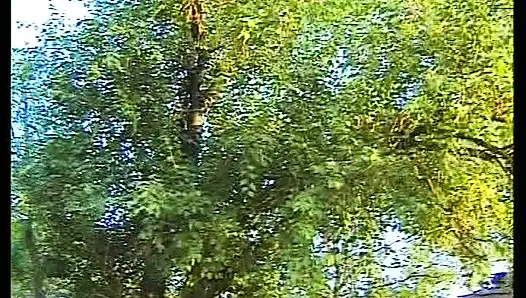 Alman Kapılarının Arkasında Özenle Siktir Edilir - Tam Film