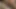 Onu götten arayan kışkırtıcı orta yaşlı seksi kadınların hikayeleri