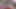 Sünnetsiz asılı cutlerx seksi Brezilyalı götlü adam Jace Toned'i hamile bırakıyor