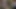 Horoz 3d baskı ölçeği 0.33 benim horoz içinde lanet