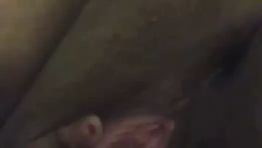 Dolce amcık
