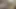 Yahudi İsrailli sharmuta Arap yarağı alıyor