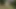 Dirtygardengirl bahçede ananas yapay penis alır