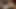 Seksi zenci sürtük yaşlı beyaz yarağı okşuyor ve taşaklarını yalıyor