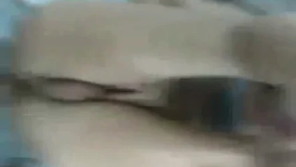Bj ve biraz anal