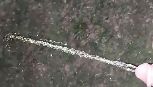 Dışarıyı keşfetmek