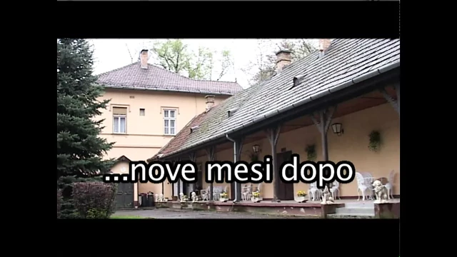 La vedova - (hd versiyonunda tam orijinal film)