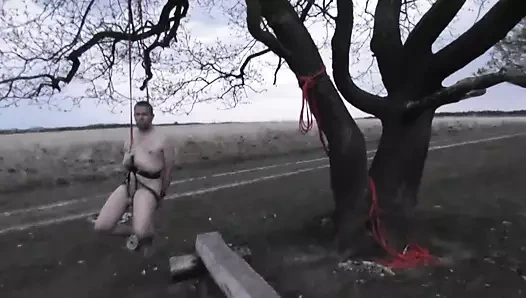 Almanya'da ormanda yürüyüş