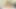 Yaramaz güzel lezbiyenler Dillion Harper ve Karlee Grey formda vücutlarını sergiliyor