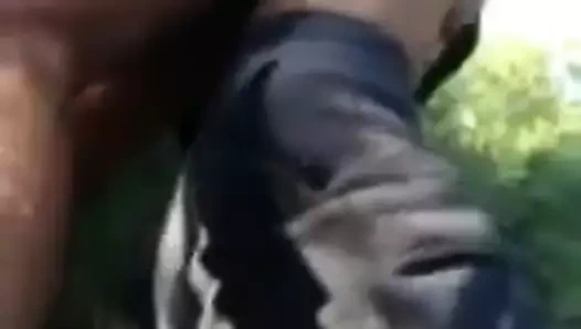 Seyir... azgın ormanda yabancının etinin ısısı