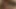 Jada Fire büyük siyah dana sünnetini pirsingli diliyle nasıl memnun edeceklerini biliyor
