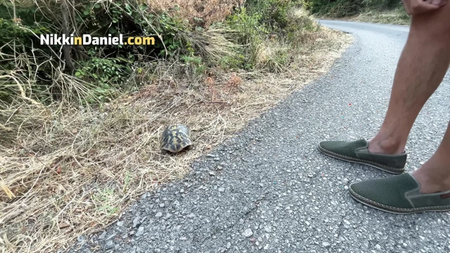 Seksi bir kızla ateşli randevu vahşi araba kaputunda seksle sona erdi