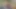 Jnrc.fr - çam ormanında iki Brezilyalı